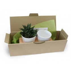 Support double pots avec plantes aromatiques ou dépolluantes