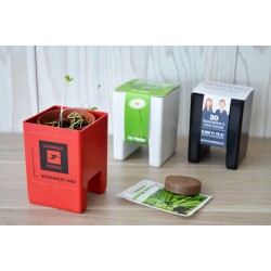 Pot pour écran de bureau avec graines ou plante dépolluante -  Personnalisation incluse