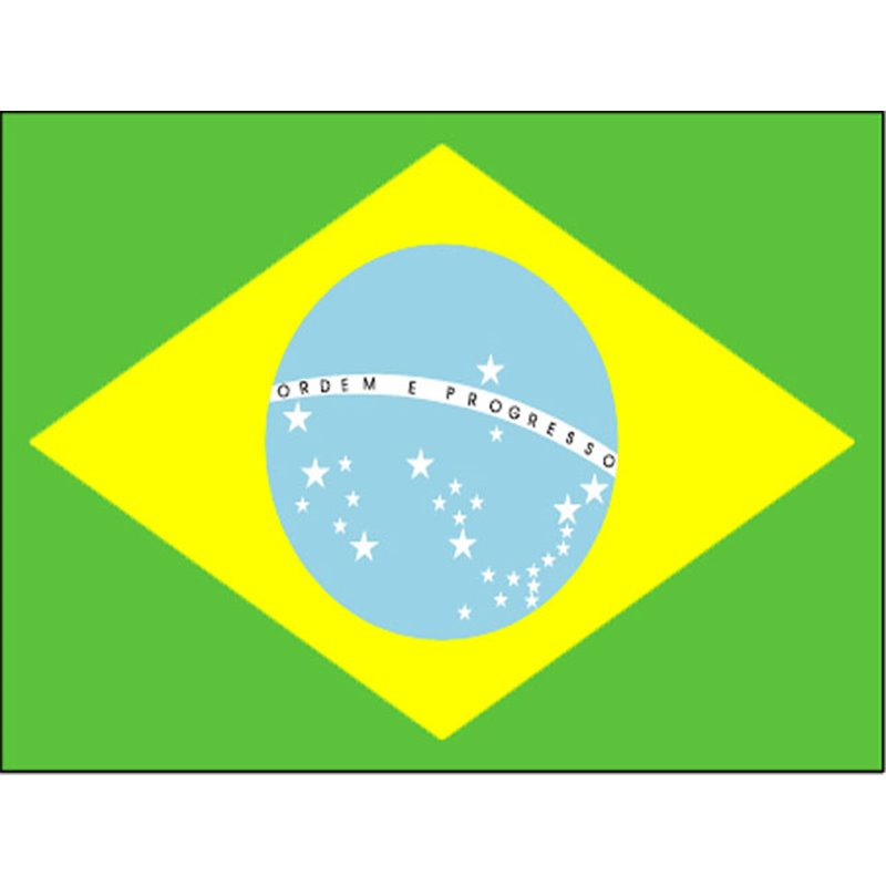 Drapeau Brésil Accessoire de Décoration et Accessoire de Supporter