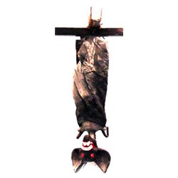 Suspension Chauve Souris