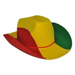 Chapeau de cowboy tricolore