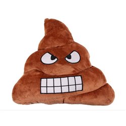 Coussin émoji caca énervé