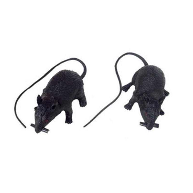 Lot de 2 rats noirs.