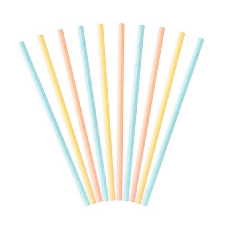 lot de 10 pailles carton pastel 19.5cm