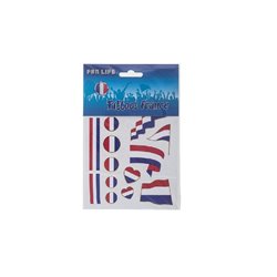 lot de 17 tatouages bleu blanc rouge france