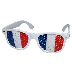 lunettes grille france