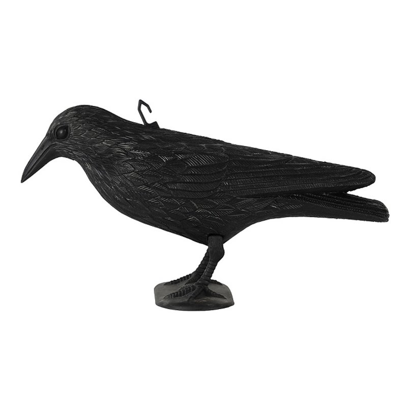 corbeau noir 36cm