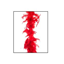 boa 35gr rouge 1.5m