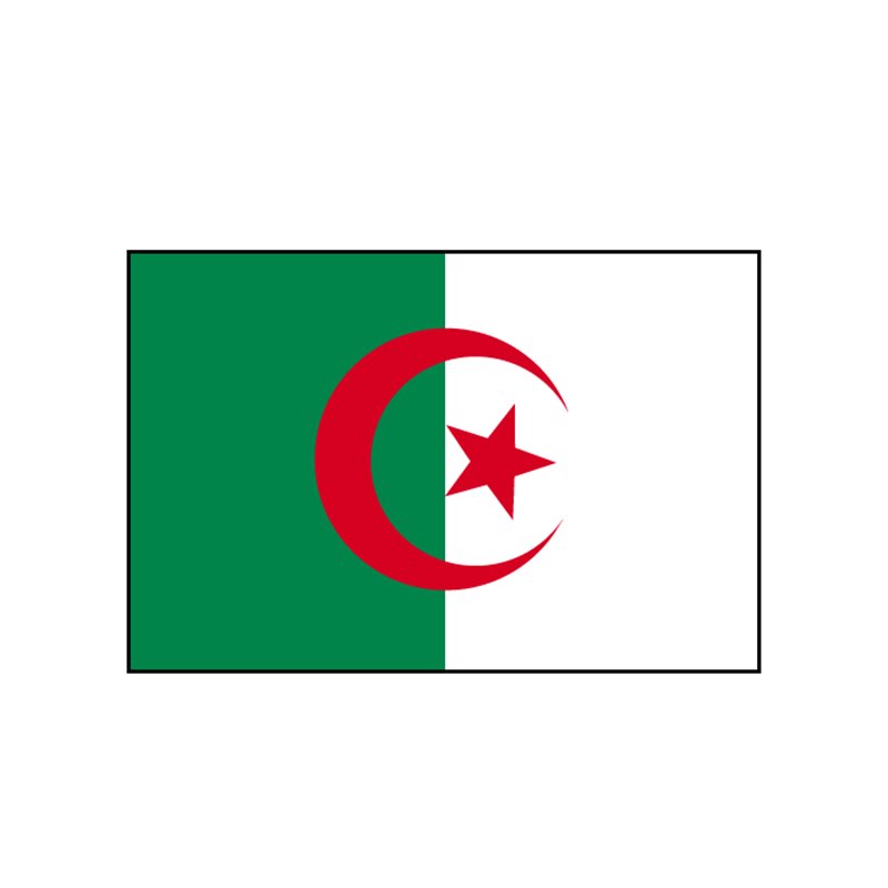 drapeau algerie 90x150 cm