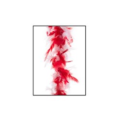 boa 45gr blanc rouge 2m