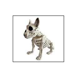 squelette de chien assis 36cm