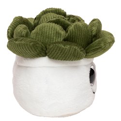 Peluche succulent 9cm - Multicolore